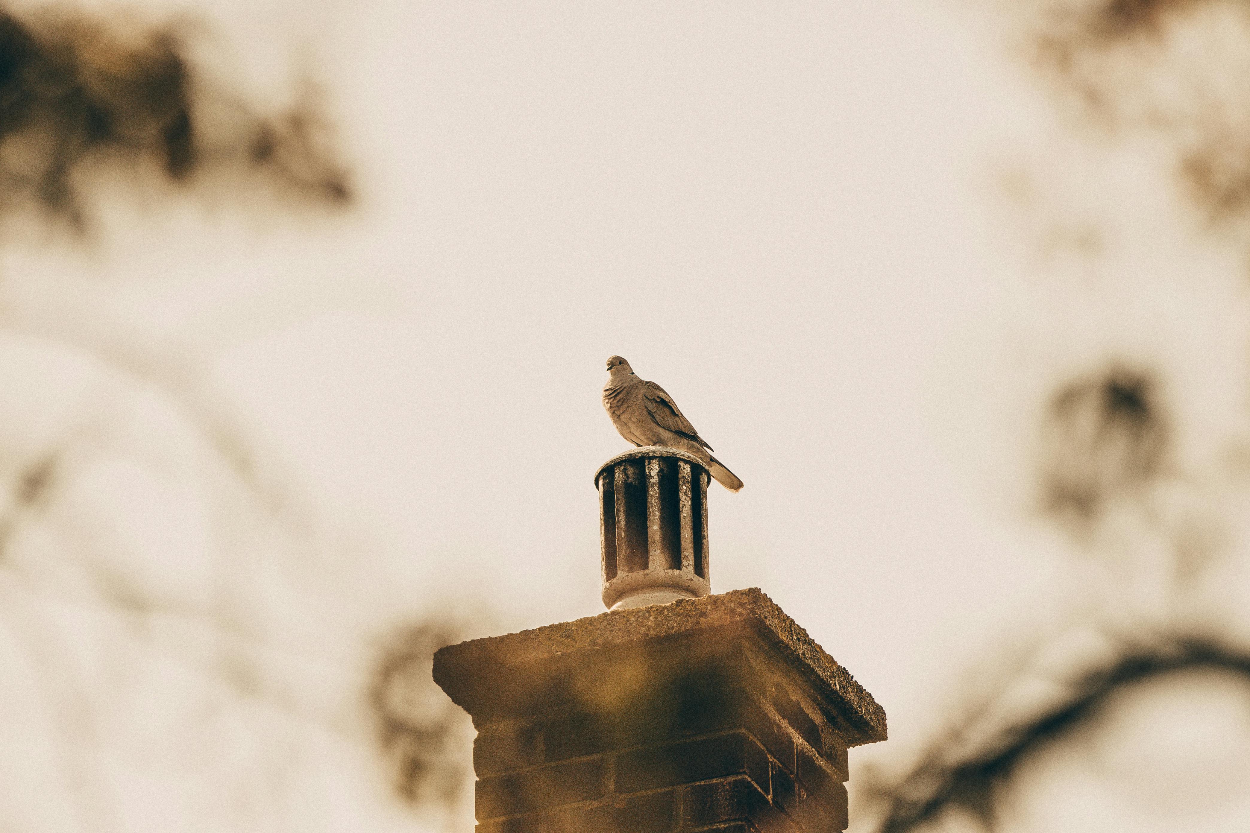 Expert Chimney Cap Installation in Middleton, Massachusetts